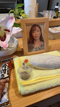 送料